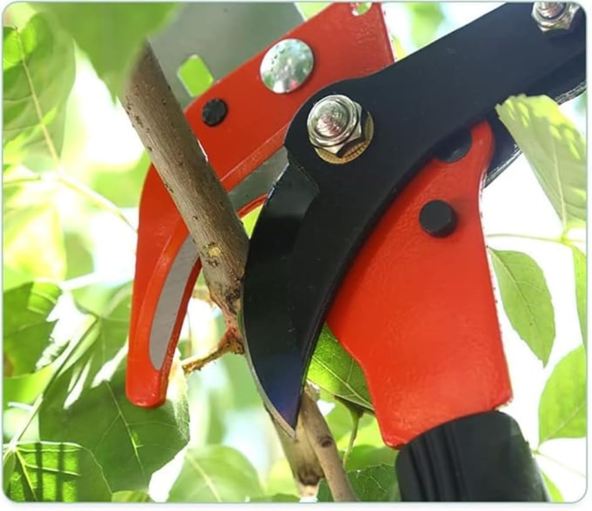 Testa di ricambio per potatura e potatura, compatibile con sega a palo da 2,5 cm di diametro per una facile manutenzione dell'albero