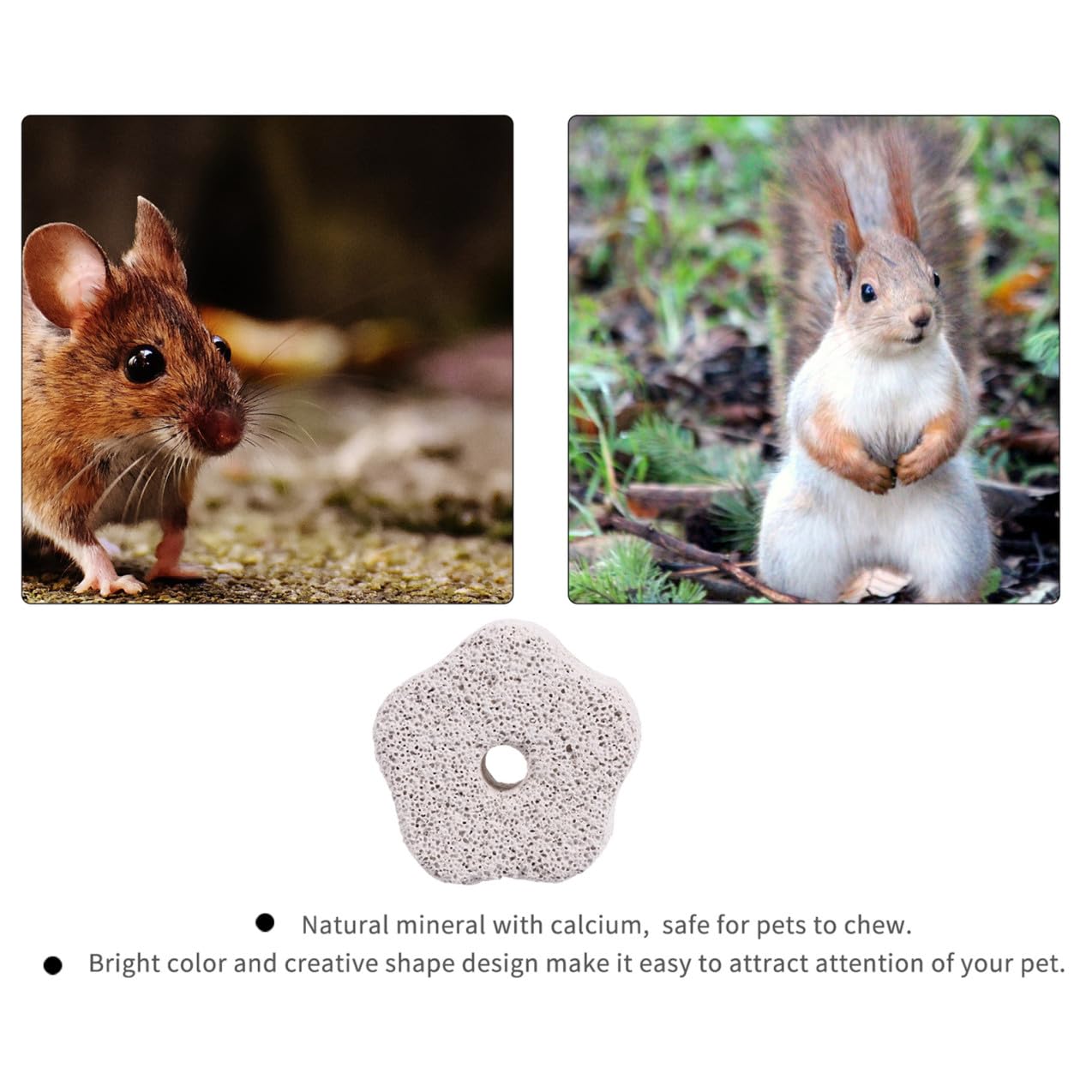POPETPOP 36stücke Kauspielzeug Für Hamster Und Ratten Fördert Zahngesundheit Natürliche Mineralien Mit Calcium Für Gesunde Zähne Und Spaß Beim