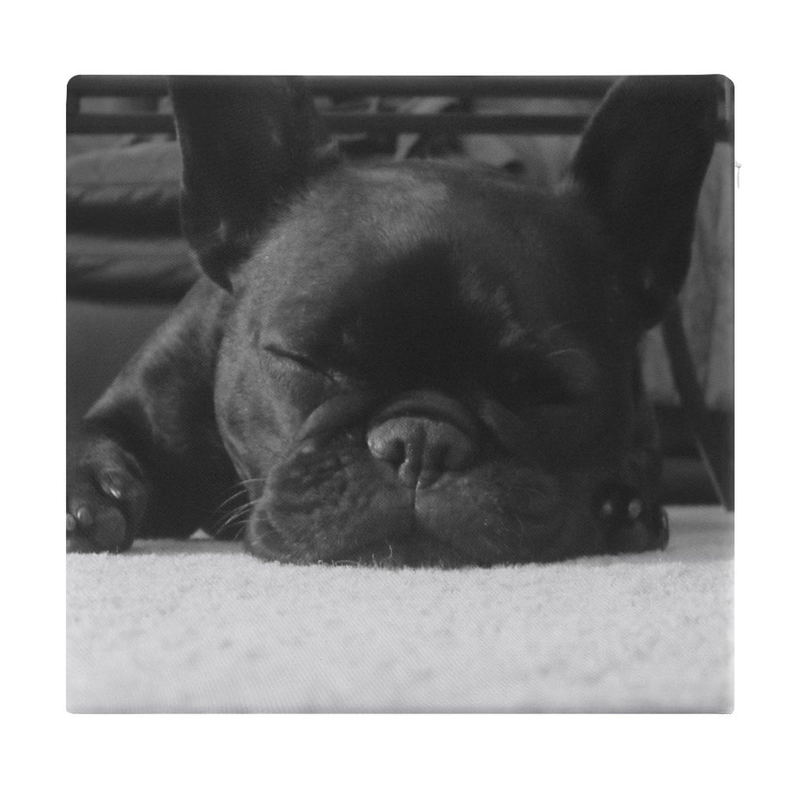 Cojín de espuma viscoelástica de bulldog francés para sillas de comedor de 38x35 cm