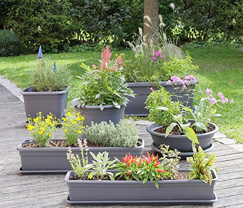blumenkasten weidengeflecht Balkon-Blumenkasten 2 Stk. Weide mit PE-Auskleidung 80 cm