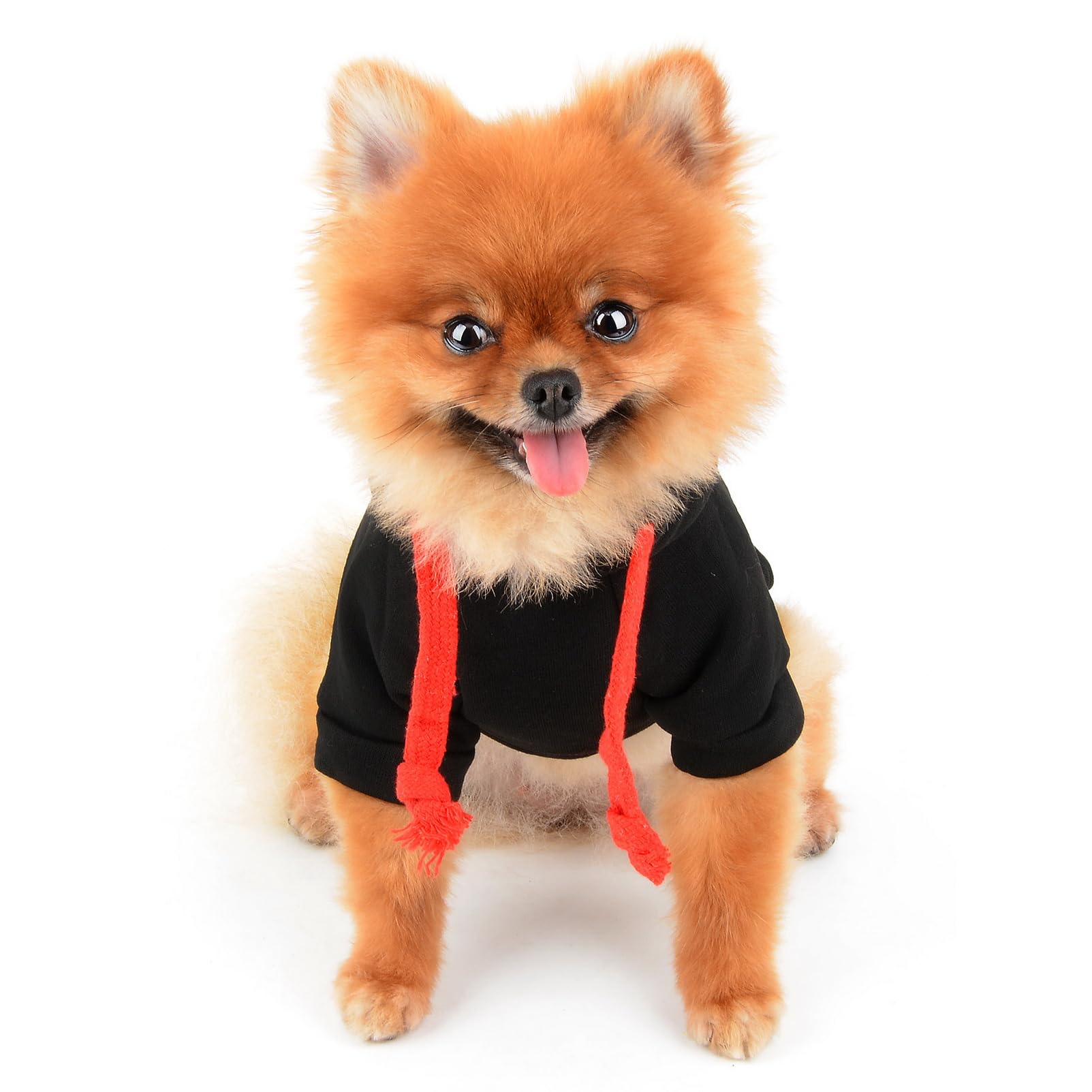 SMALLLEE_LUCKY_STORE Cute Pet Fleece Hoodie Jumper Winter Coat Jacket for Small Medium Large Dogs Cats with Buffalo Check Paw Puppy Pullover Sweater Warm Cold Weather Clothes,Black,M - Image 3