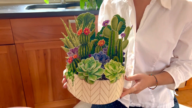 Watch Opening your Cactus Garden from Freshcut Paper on Amazon Live