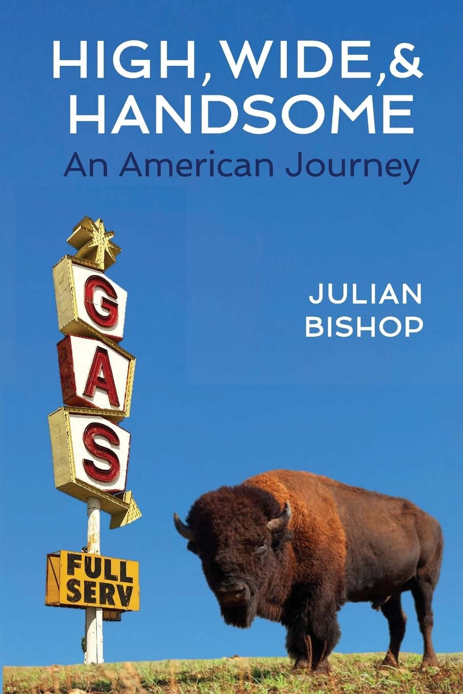 High, Wide, and Handsome: An American Journey: 1 (Julian's Journeys)