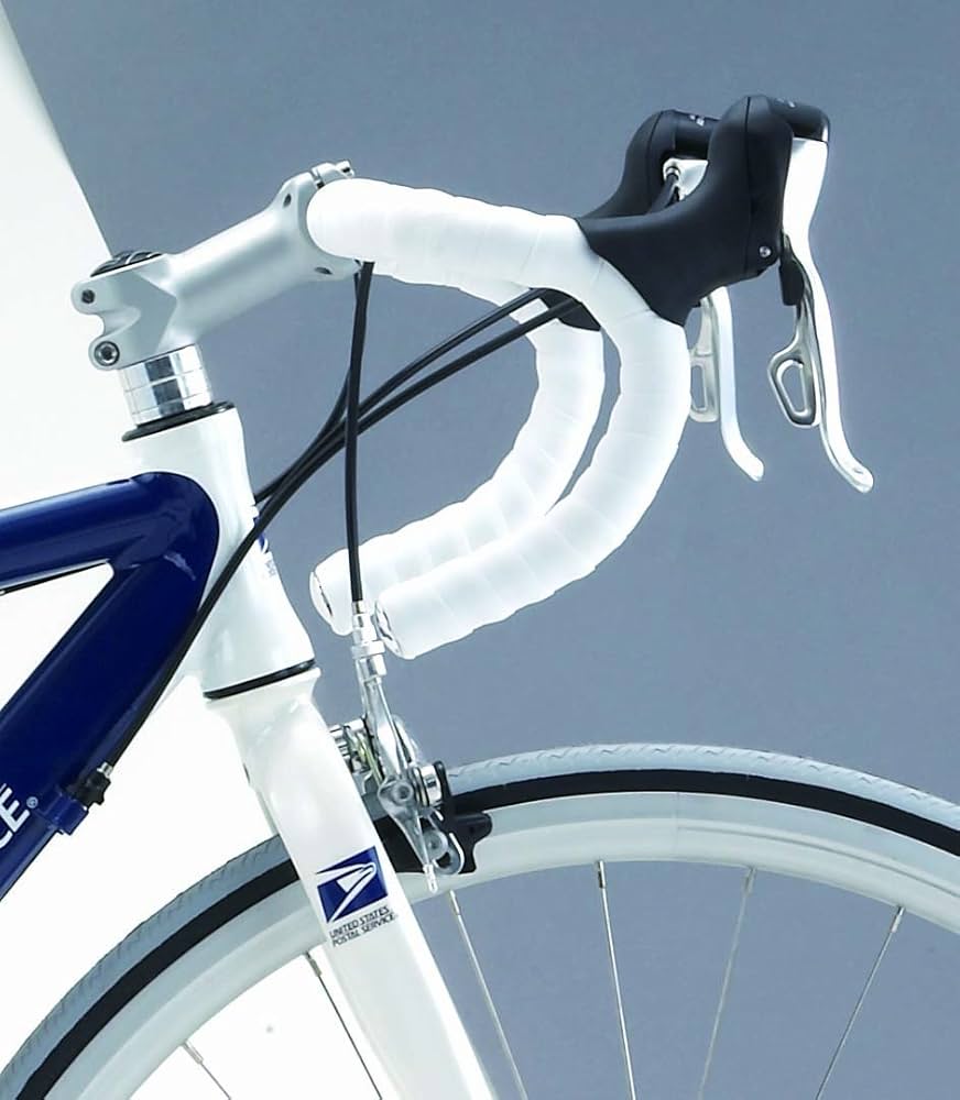 Amazon | DAHON(ダホン) USPS VICTORY 700C ロードバイク 430mm グレー