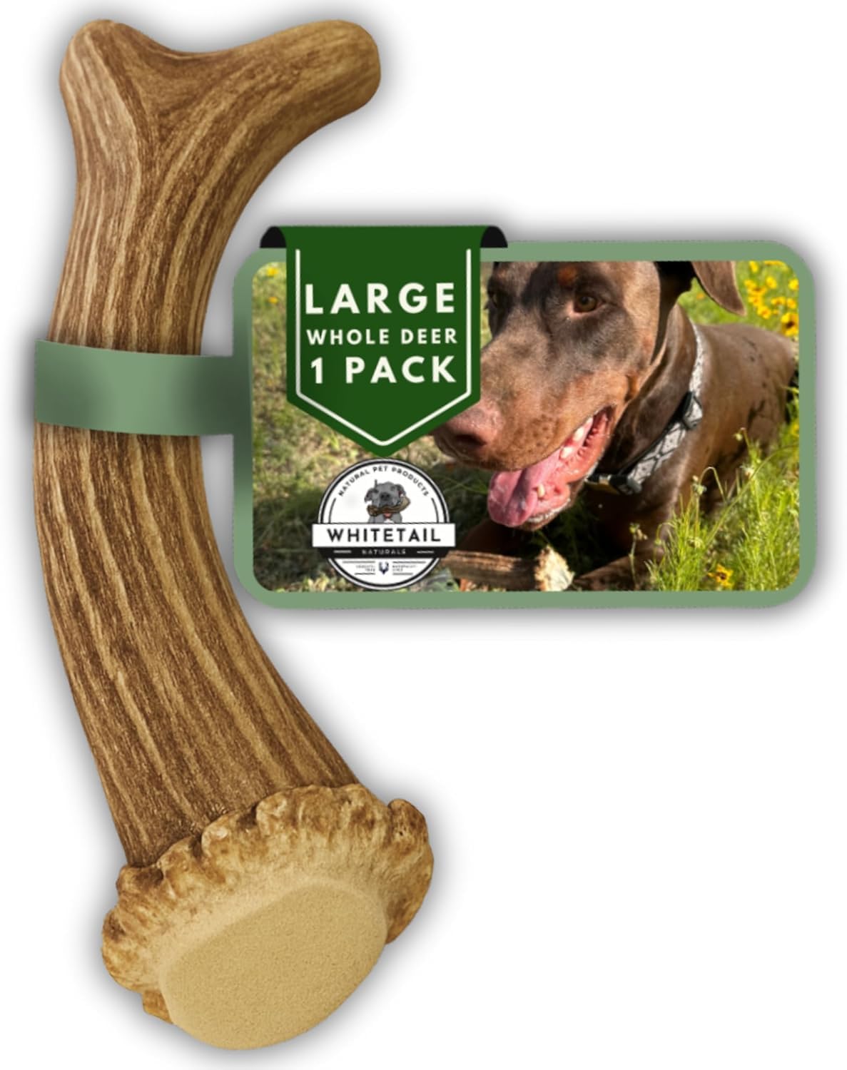 WhiteTail Naturals - Premium Deer Antlers for Large Dogs - (1 Pack- Large) - All Natural Antler Dog Chew - Naturally Shed, Long Lasting Chew Bone - Made in USA