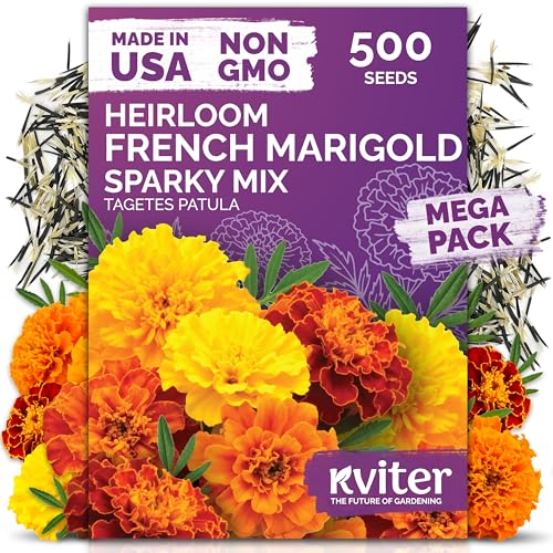 KVITER 500 French Marigold Seeds, Sparky Mix (Tagetes patula) —