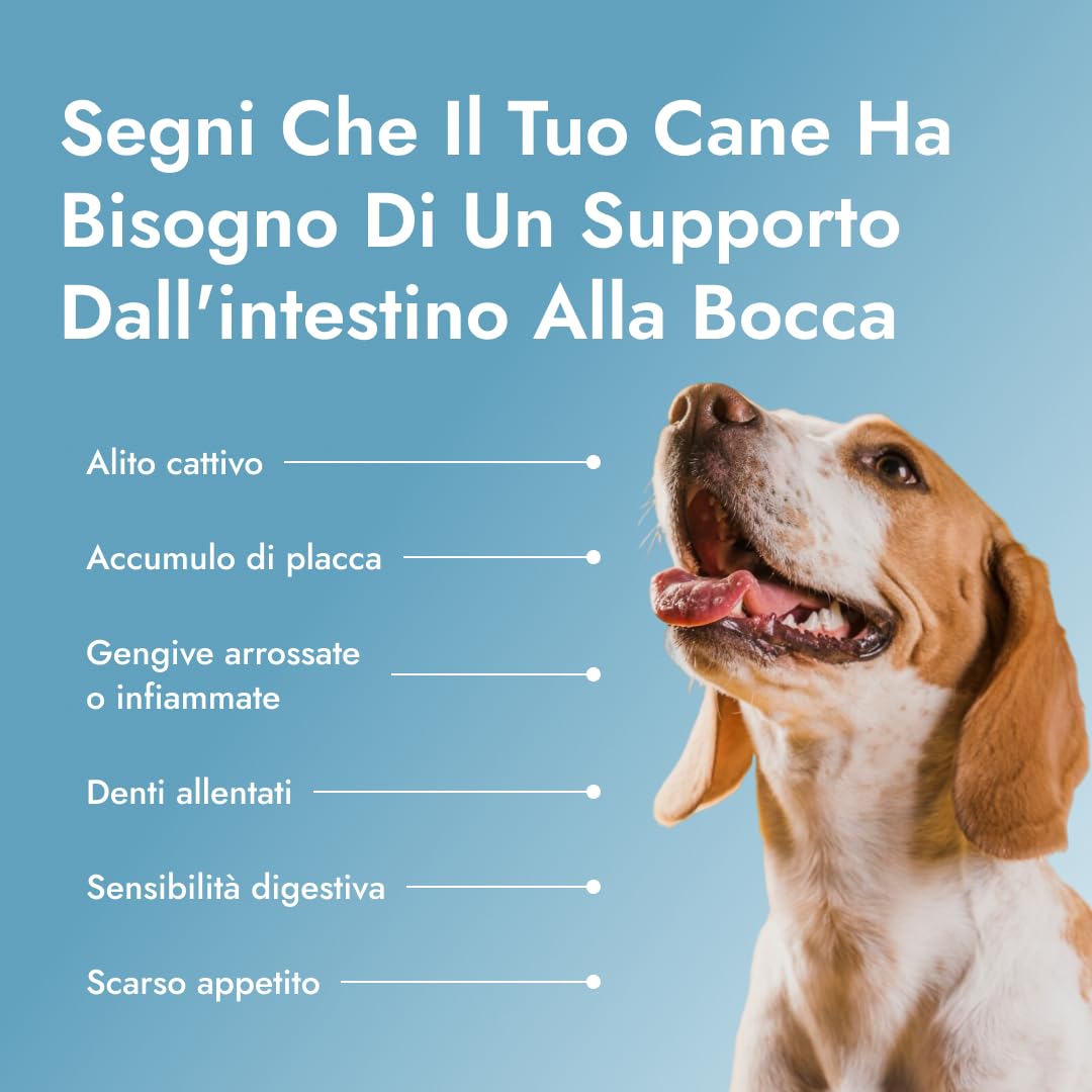Dental PetBiotics – Integratore Naturale per la Salute Orale dei Cani (Polvere Giornaliera con Probiotici ed Erbe) - Alito Fresco, Livelli Sani di Placca, Salute delle Gengive e dell'Intestino