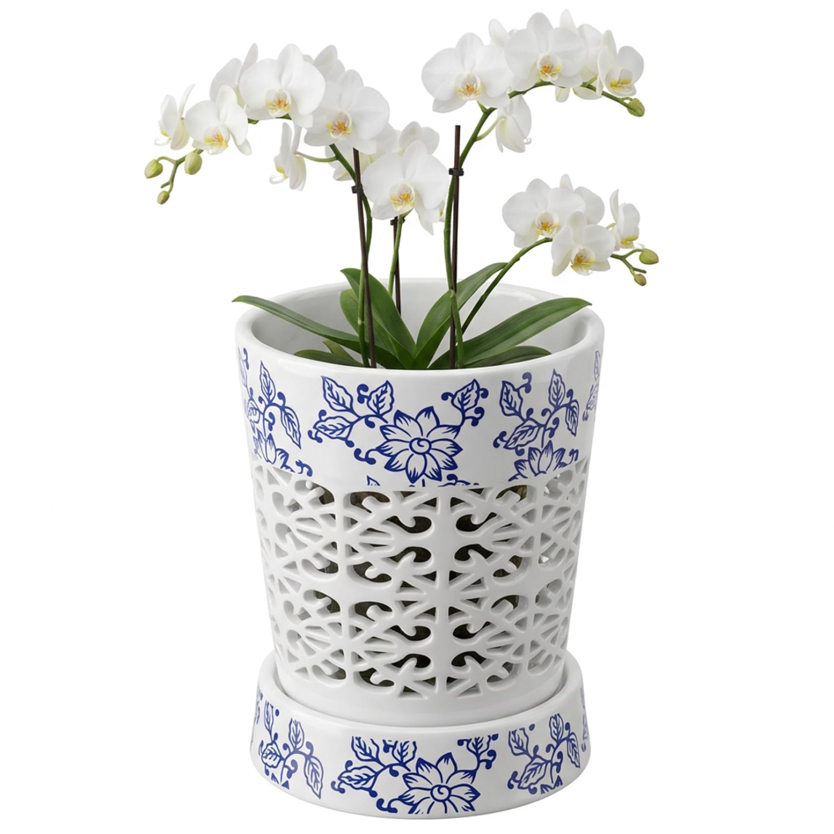 Neptuiby Orchid Planter Orchid Pots Ceramic Pots Ceramic with Drainage Holes and Saucer 4 Inch Breathable for Healthy Growth Home Decor