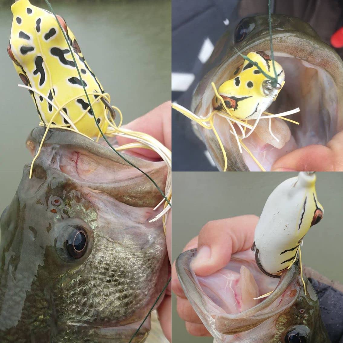 バス釣り　フロッグセット バス釣り フロッグセット