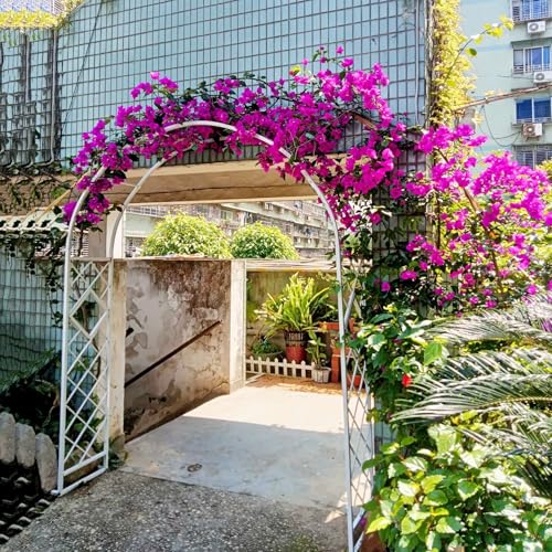 Arche de jardin solide pour soutenir durablement rosiers et vignes