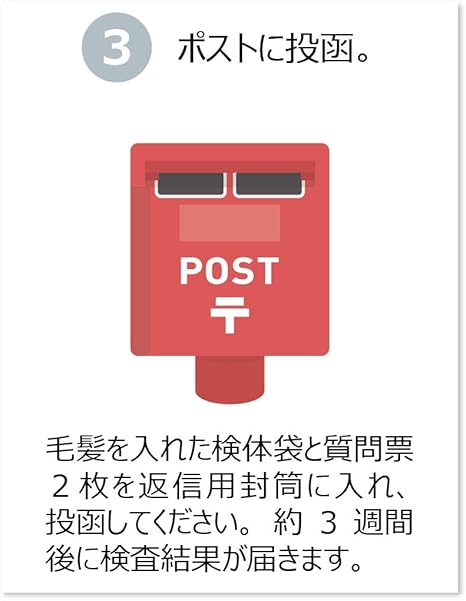 配送員設置 その他の金属6元素 参考ミネラル3元素 準有害金属3元素 有害金属5元素 スターターセット 新版ミネラルガイド付 必須ミネラル12元素 毛髪ミネラル検査 29元素 その他 Williamsav Com