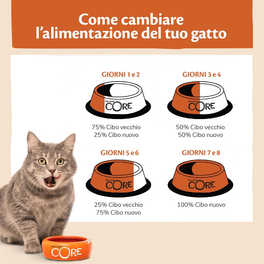 Wellness CORE Ocean 4 kg, Salmone/Tonno – Crocchette per Gatti Adulti, Senza cereali, Naturale, Ipoallergenico, Ricco di Proteine, Alto Contenuto di Pesce, Pelle Sana & Pelo Lucido