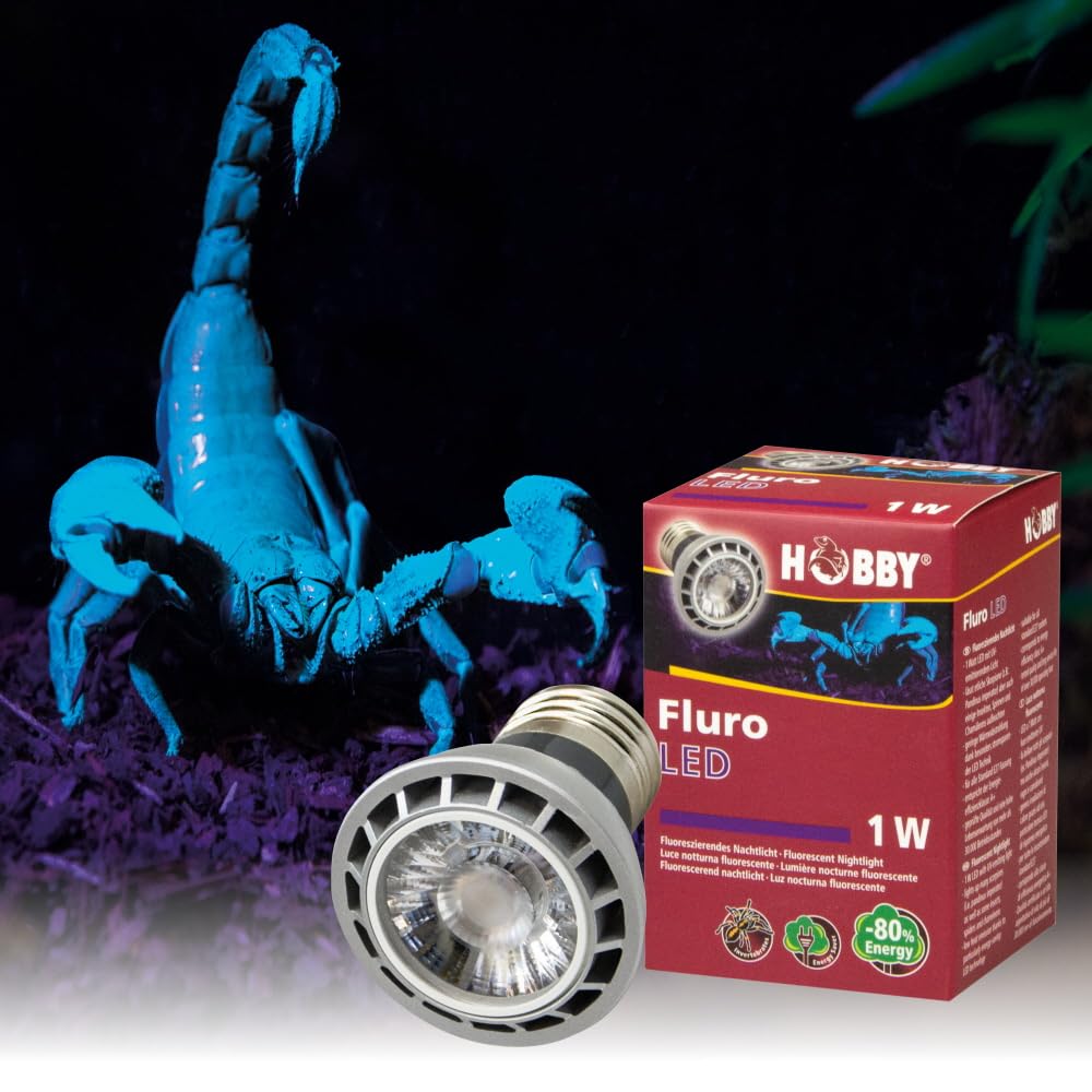 HOBBY Terraristik Fluro LED 1 W I Lässt etliche Skorpione sowie einige Insekten, Spinnen und Chamäleons aufleuchten I Standard E27 Fassung I Kein Vorschaltgerät erforderlich