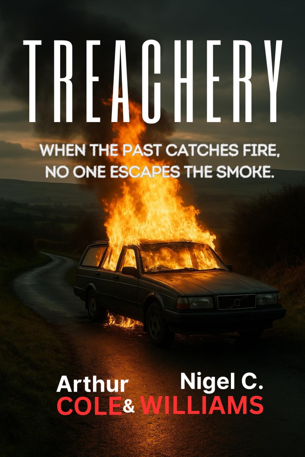 Treachery: A Terry McGuire Crime Thriller (Terry McGuire Crime Thrillers)