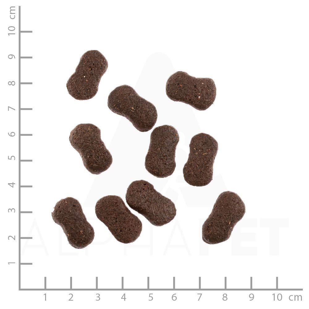 WILDES LAND – Lamm & Lachs | Trockenfutter mit extra hohem Fleischanteil und natürlichen Zutaten für ausgewachsene Hunde. Alleinfutter ohne Zusatzstoffe im Beutel | 12kg Lamm & Lachs