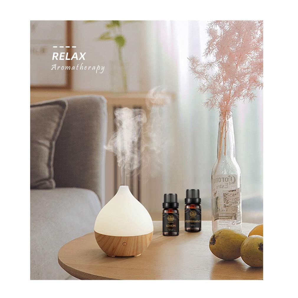Aromatherapie Ingwer ätherisches Öl Set für Diffusor, 100% reine Zimt ätherisches Öl Kit für Hause, 10x10ml Eukalyptus ätherische Öle Set - Nelken, Weihrauch, Pfefferminze Öle...
