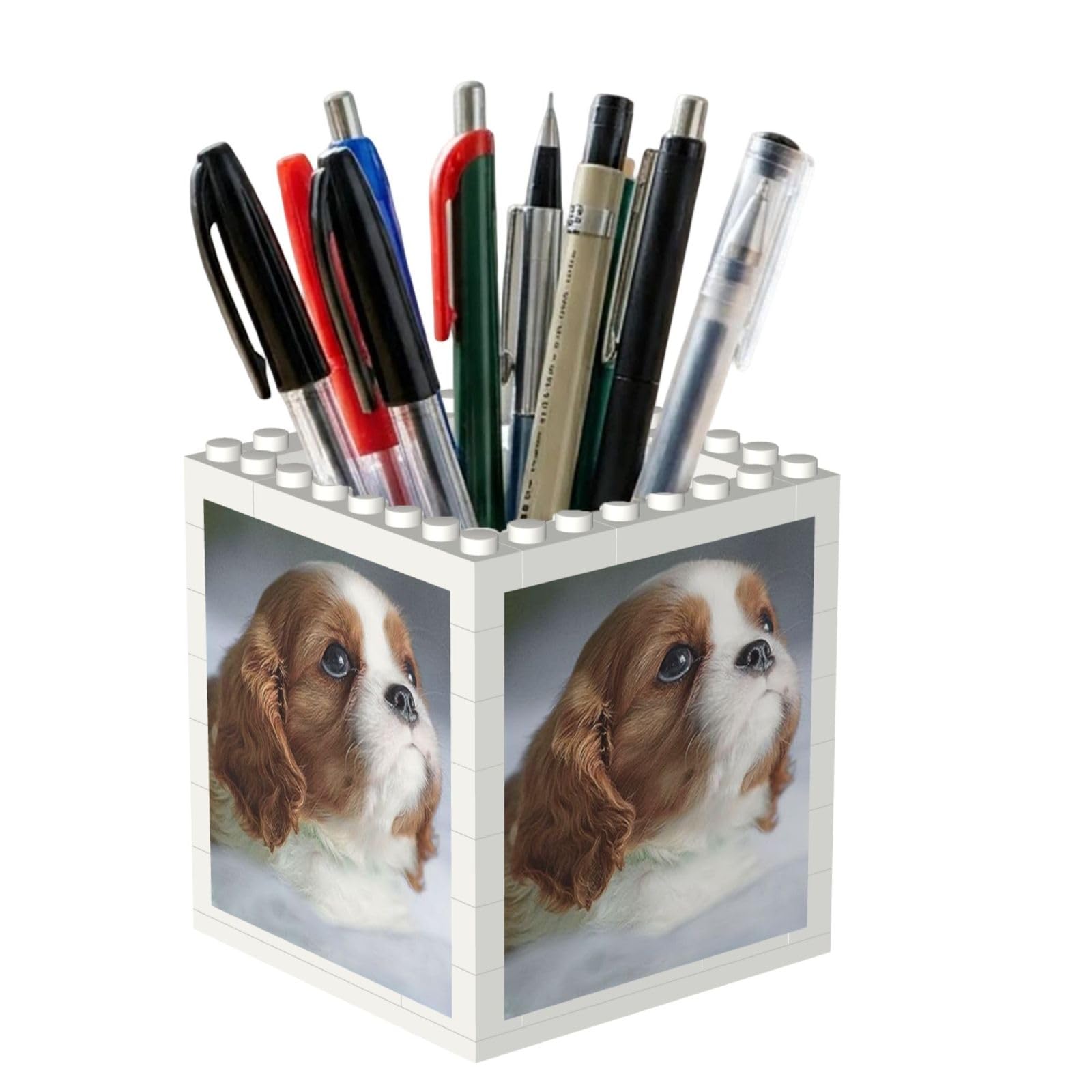 Poadnly Cavalier King Charles Spaniel Face, Pen Pot Pencil Holder for Office Home School, Compact Desk Organiser for Office Stationery