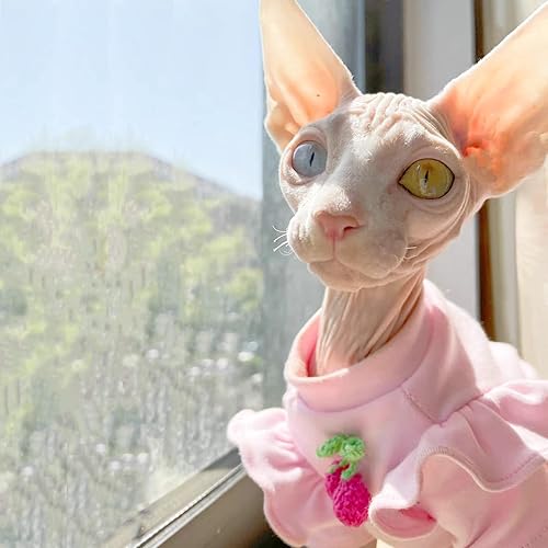 Miniatura 2 de NC Sphynx - Camiseta de algodón transpirable para mascotas con manga abullonada, fresa, para gato esfinge, gato Devon Rex, gato Bambino y gato