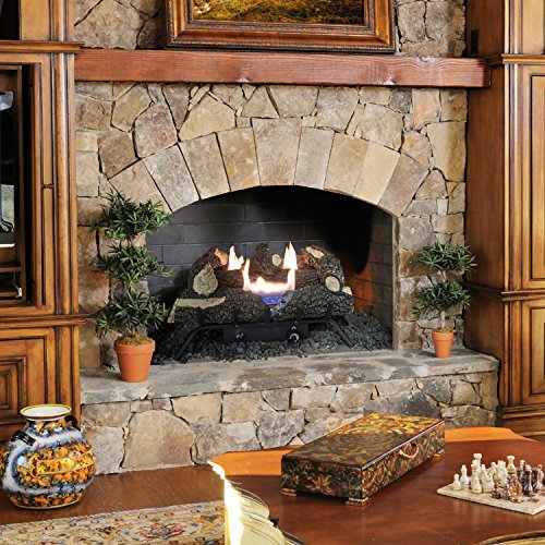 Pleasant Hearth Vfl2-Ww24Dt 30,000 Btu 24" Dual Fuel Wildwood Vent Free Gas Log Set #TOP1