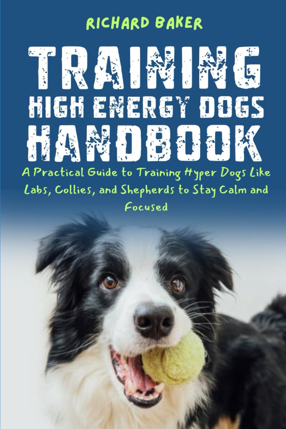 Training High Energy Dogs Handbook: A Practical Guide to Training Hyper Dogs Like Labs, Collies, and Shepherds to Stay Calm and Focused