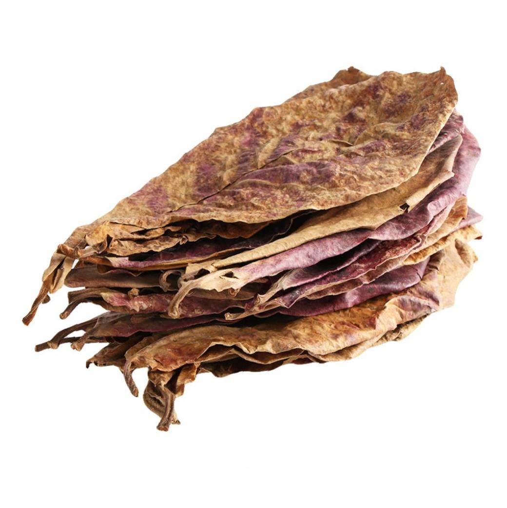 Amazon | マジックリーフ モモタマナ 水質改善 ドクターリーフ ベタ