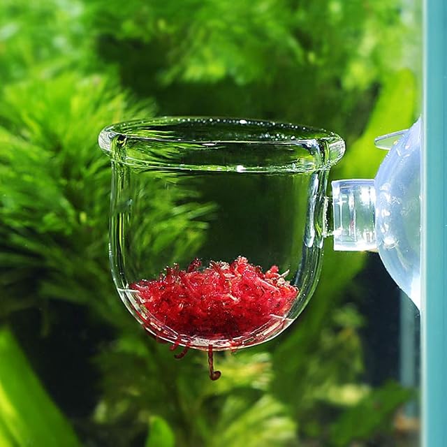 Wosune Contenedor de alimentación para acuario, alimentador de acuario
