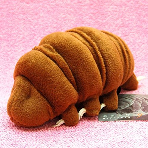 Amazon.co.jp: 最強生物 ヨコヅナクマムシ ぬいぐるみM ブラウン