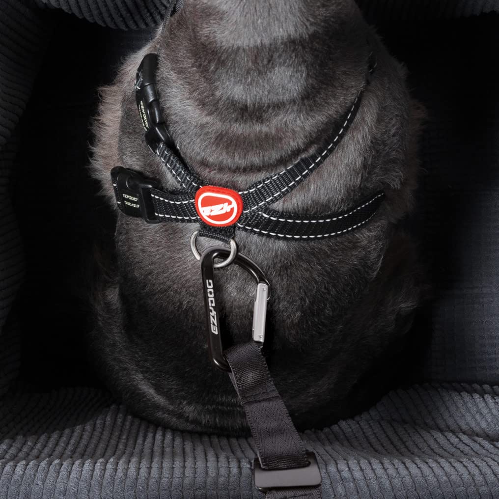 EzyDog Drive Booster Hundesitz Auto & Sitzerhöhung - Verstärkter Autositz für Kleine und Mittlere Hunde - Hochwertiger und wasserdichter Hundeautositz für den Rücksitz im Autos