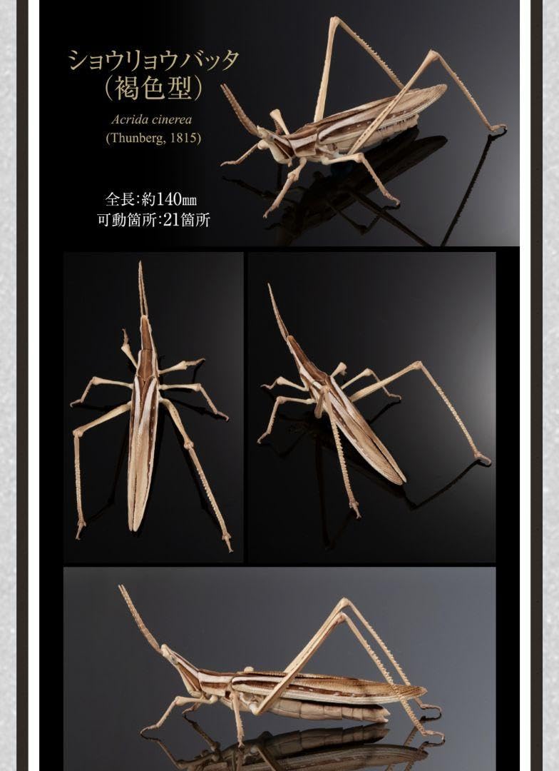 いきもの大図鑑アドバンス オオカマキリ ２種 オンライン版 いきもの大図鑑アドバンス オオカマキリとショウリョウバッタ