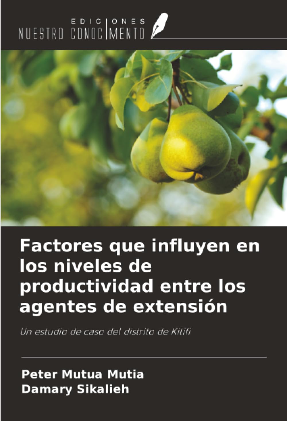 Factores que influyen en los niveles de productividad entre los agentes de extensión: Un estudio de caso del distrito de Kilifi