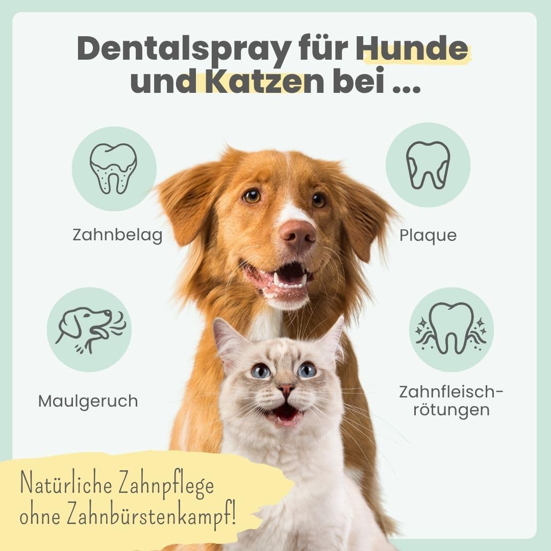 noms+ TESTURTEIL MOLTO BUONO 01/25 Spray dentale per cani e gatti magazzino annuale, spray rimuove la placca dentale 100% naturale, contro tartaro, alitosi, placca per la pulizia dei denti e rimozione