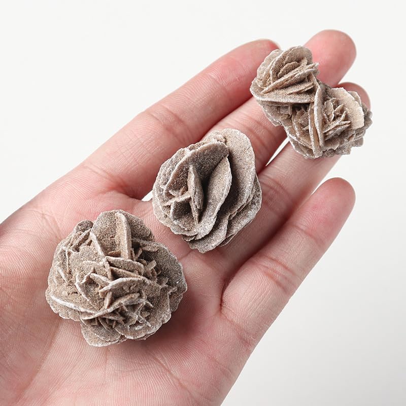 Namzi 4 Pieces of Brown Natural Stone 2-3cm Desert Rose raw Stone Mineral Rare Stone Collection Fish Tank Viewing Home Decoration Ornaments