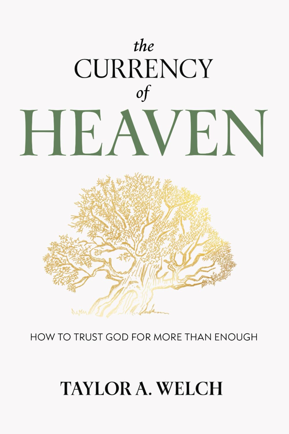 The Currency of Heaven: How to Trust God for More Than Enough