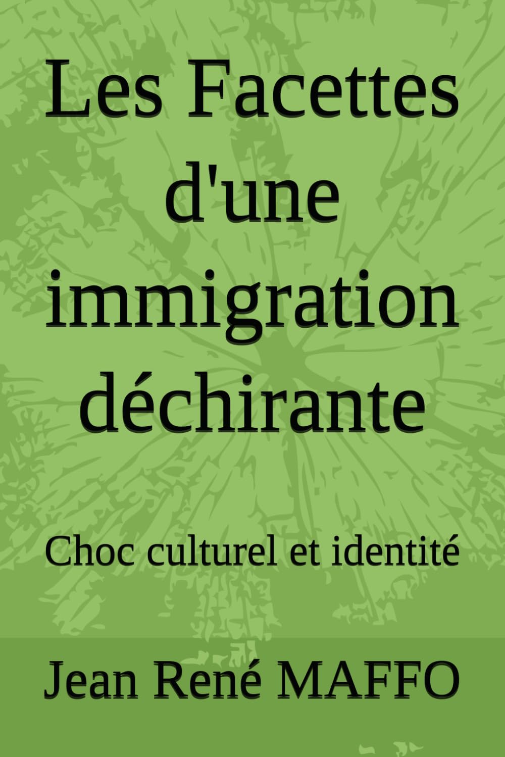 Les Facettes d'une immigration déchirante: Choc culturel et identité