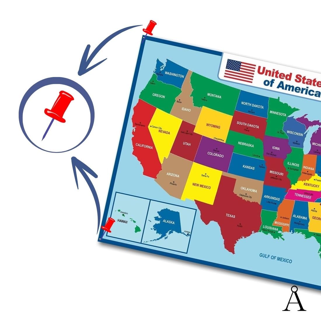 AGGSTROM Jumbo Waterproof United States Map Poster Digitally Printed on Vinyl Flex Used in Home Classroom for Kids or Adults, 36 x 24 Inch - Image 5