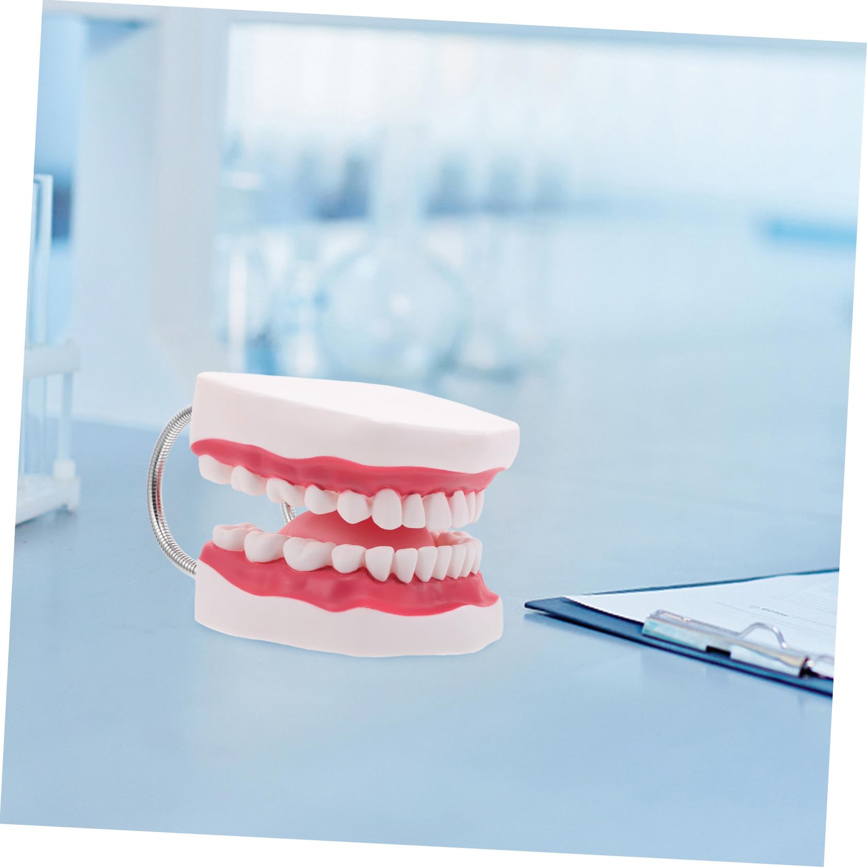 ERINGOGO Insegnamento Fai Da Te Della Lingua Finta Per Studenti Protesi Dentarie Professionisti Ortodontici Per Esami Realistici E Dimostrazione Del Dentista Con La Bocca