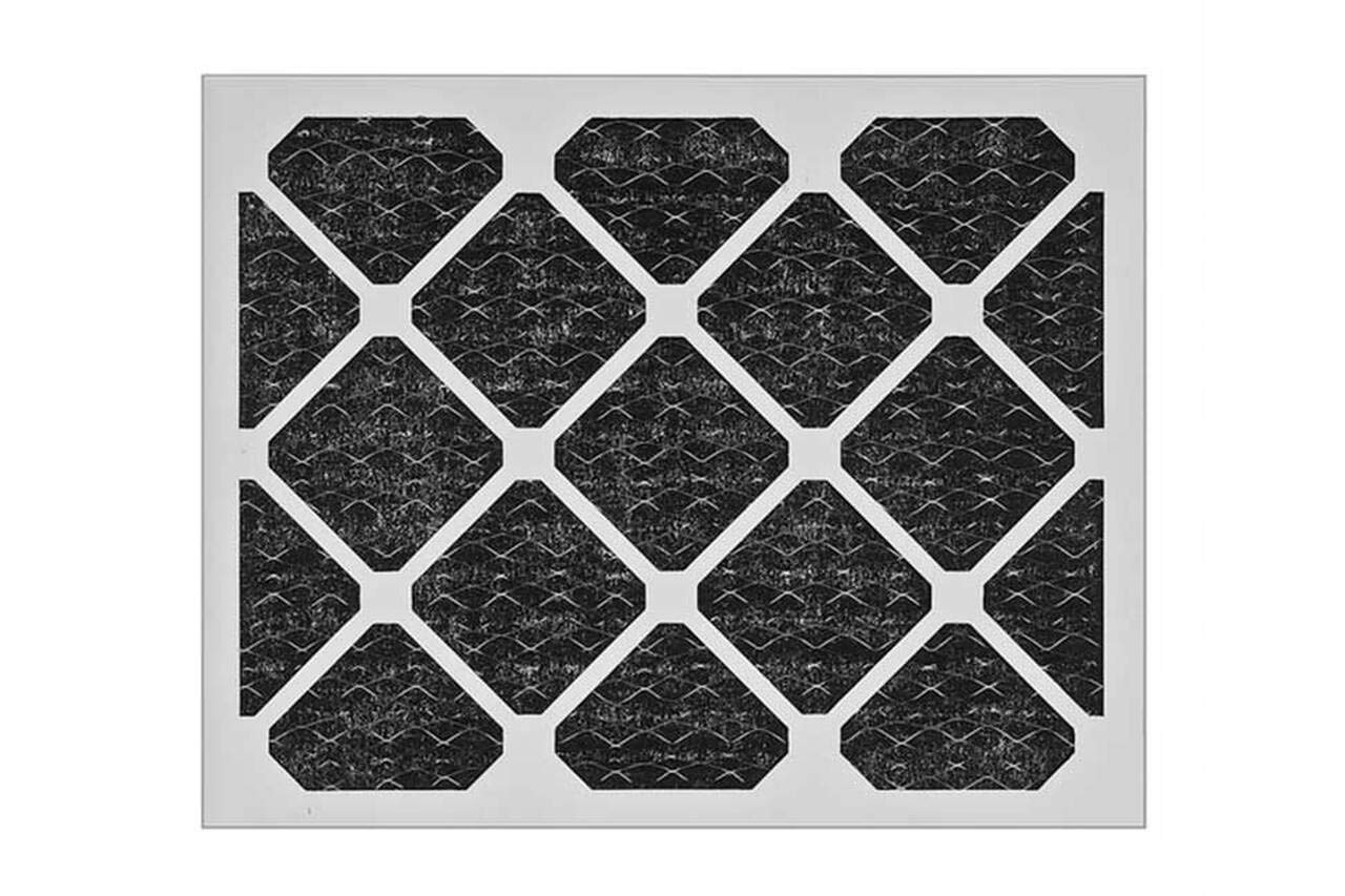 TheSafetyHouse Charcoal Pleated Filters 12/case (18