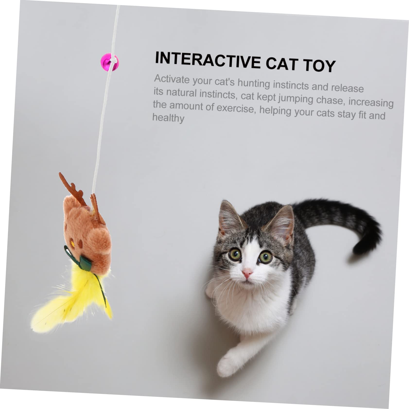 VANZACK 15pièces Jouets à Clochettes pour Chats De Teasing Interactive Accessoires De Jeu pour Chats Intérieur