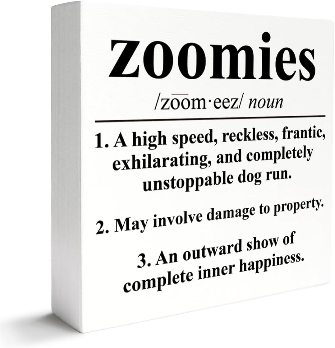 Zoomies Box Sign 5x5 Inch Funny Dog Definition Desk Decor