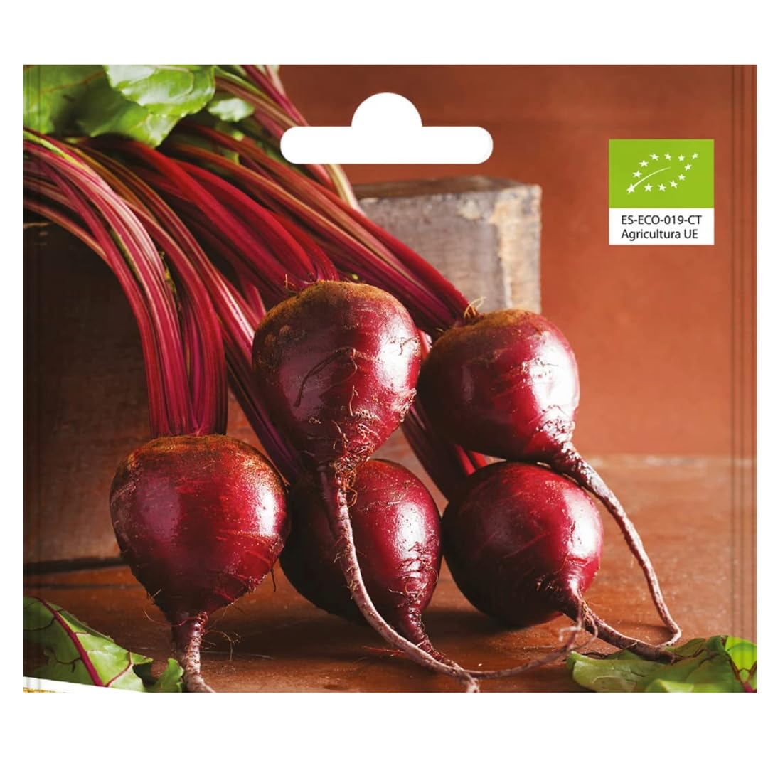 Semillas ecológicas - Remolacha mesa detroit 2 -​Semillas listas para plantar.