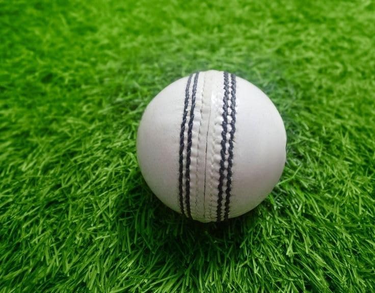 Leather Cricket Ball for T20, ODI & Practice Sessions