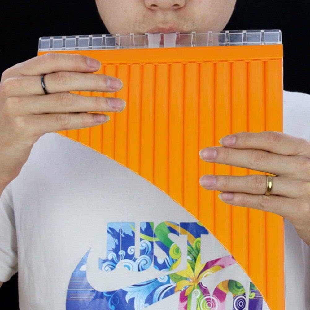 Wudaizhi 18 Tuyaux Flûte Pan en Option, Pan Flute C Key avec Carton De Transport pour Enfants pour Les Adultes Débutants.