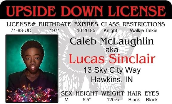 Signs 4 Fun Parody Drivers License - Stranger - Lucas ID