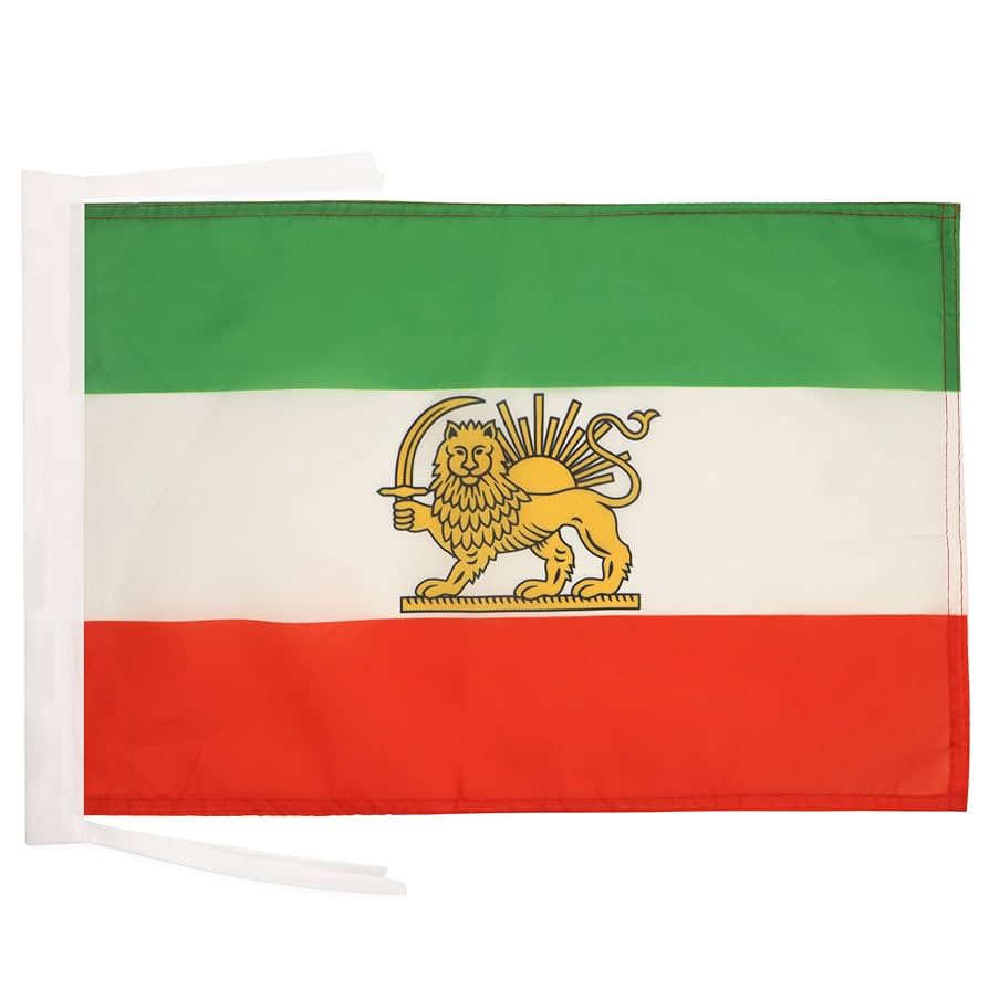 Bandiera Palestina 45x30 Cm - In Poliestere Con Cordicelle - Per Interni Ed Esterni - AZ FLAG