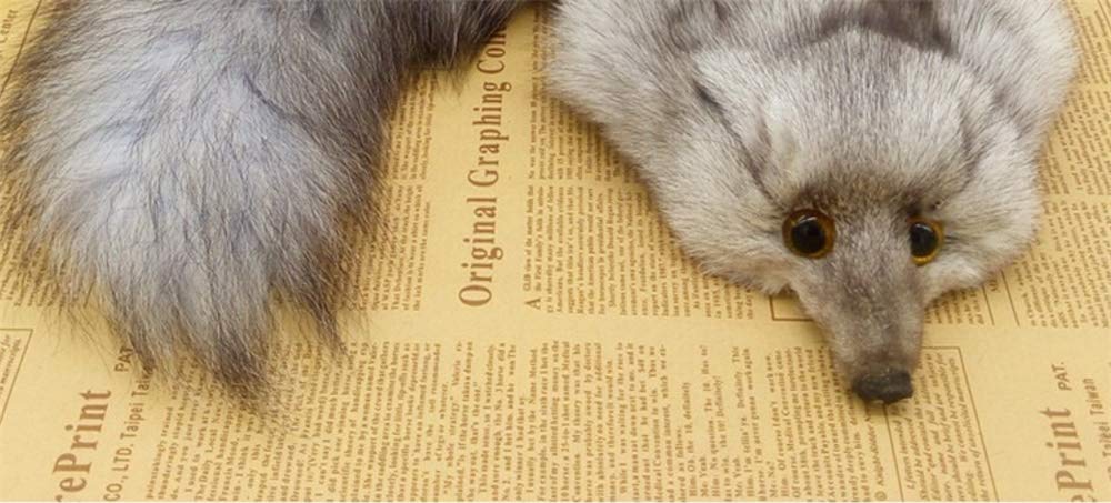 Amazon.com: Tanned Real Fox Head Face Pelt Fox Tail Fox Skin Scrap