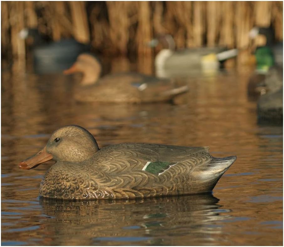 Avery GHG Hunter Series Over Size Shoveler Duck Hunting Decoys | 4 Drakes, 2 Hens | 60/40 Dura-Keel - 6 Pack (73010)