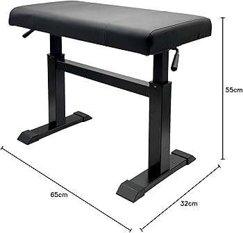Amazon.co.jp: ピアノ椅子 PianoBench 油圧式 Hydraulicタイプ 【高低