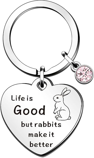 QMVMV Rabbits Make it Better - Cute Funny Rabbits Lover Gifts Keyring for Women Bedroom Best Friend Friendship Keychain Gift