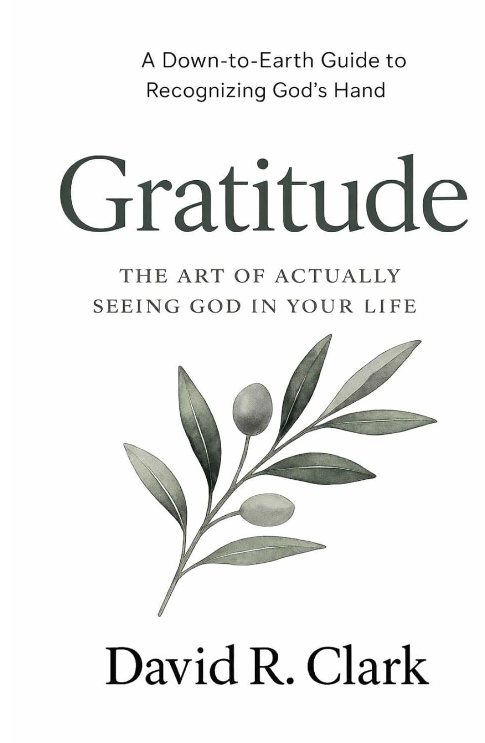 Gratitude: The Art of Actually Seeing God in Your Life (Connecting With Christ)