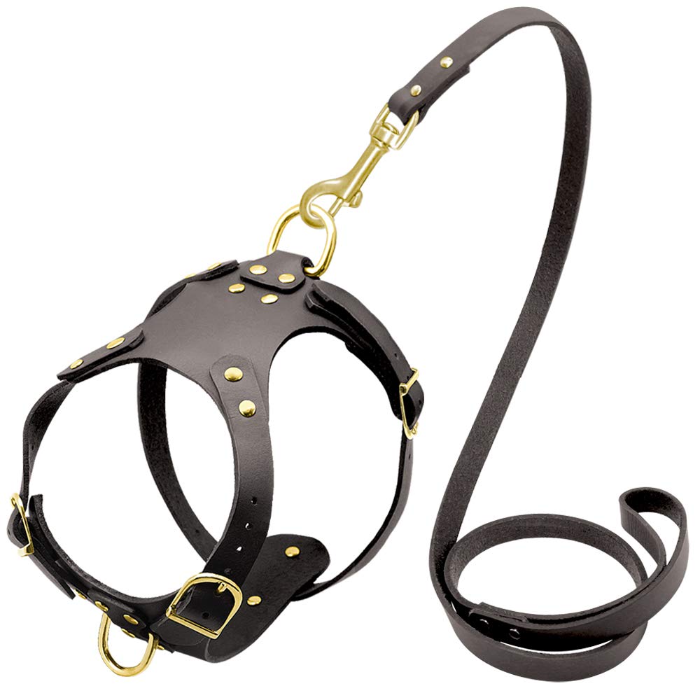 arnés para Perros, Arnés Ajustable for Perros y Correa for Caminar de Cuero Genuino for pequeños medianos